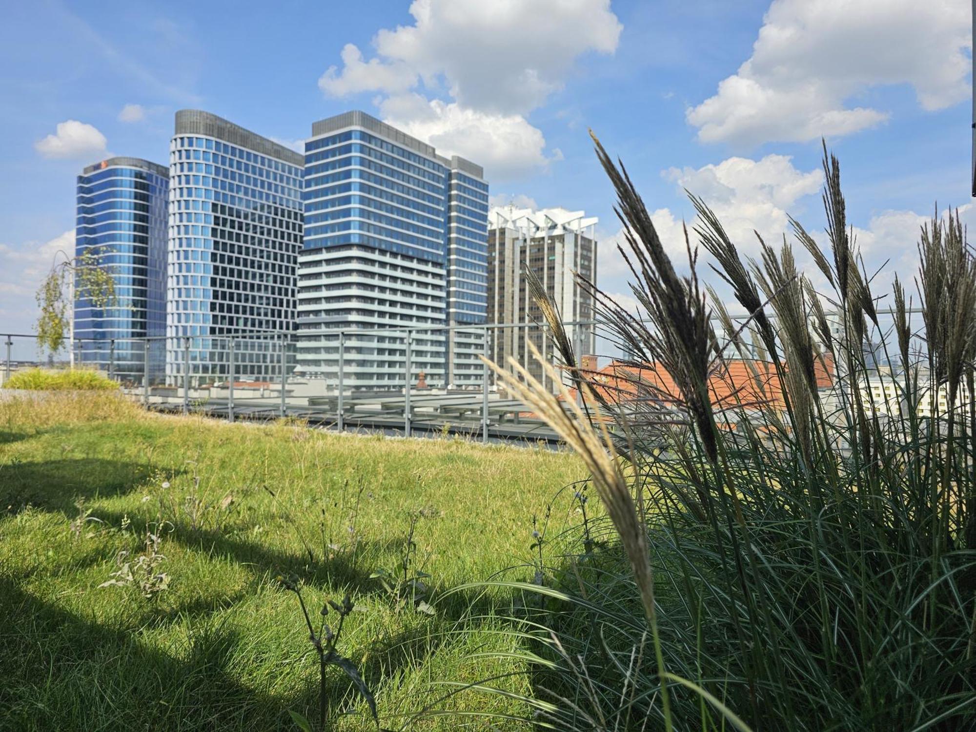 Urban Apartments Premium, Opolska 10 No 77A, Free Garage, Self Check-In Katovice Exteriér fotografie